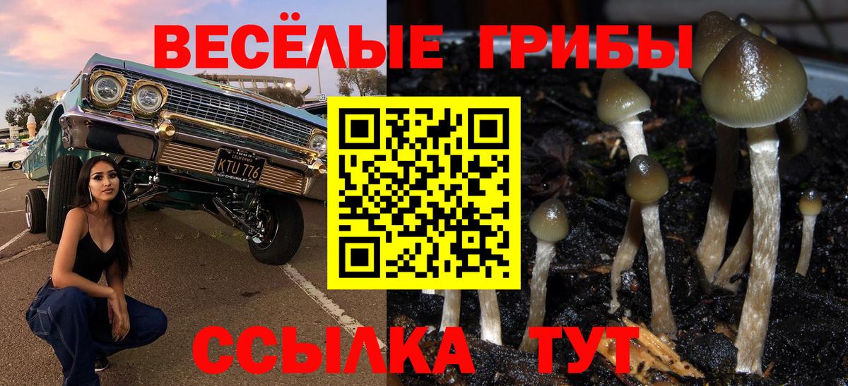 Чебаркуль  Псилоцибиновые грибы Psilocybe  Вход с VPN 